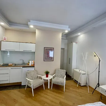 Relax Exclusive 公寓 塞拉耶佛